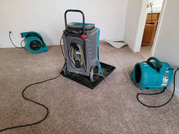 Best Water damage contractors near me  in Springdale, PA