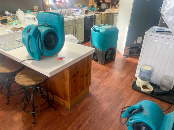 Best Professional water damage repair  in Springdale, PA