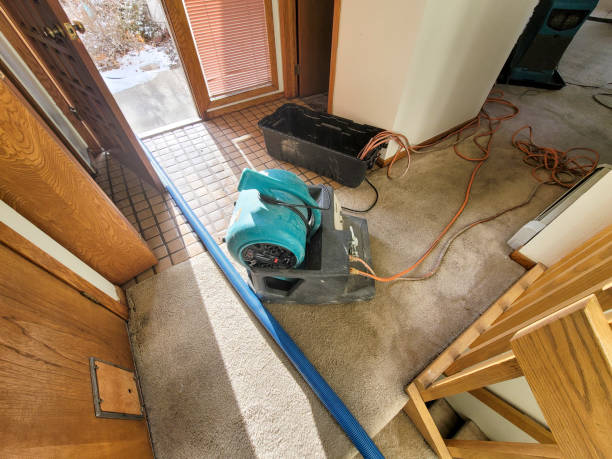 Best Flood damage cleanup  in Springdale, PA