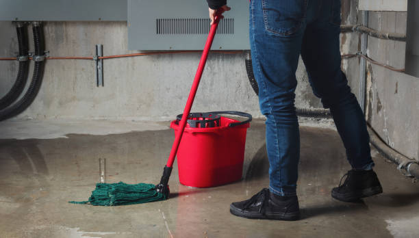 Trusted Springdale, PA Water damage restoration Experts