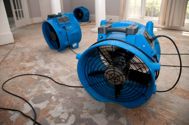 Best Water damage contractors near me  in Springdale, PA