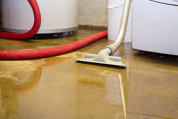 Water damage restoration mold remediation in Springdale, PA