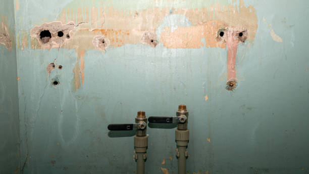Best Basement water damage restoration  in Springdale, PA