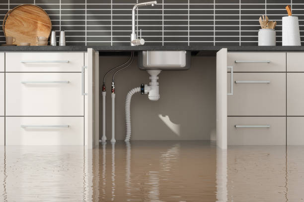 Best Commercial water damage restoration  in Springdale, PA